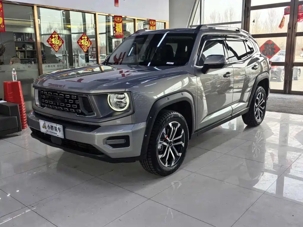 HAVAL BIG DOG II  2024