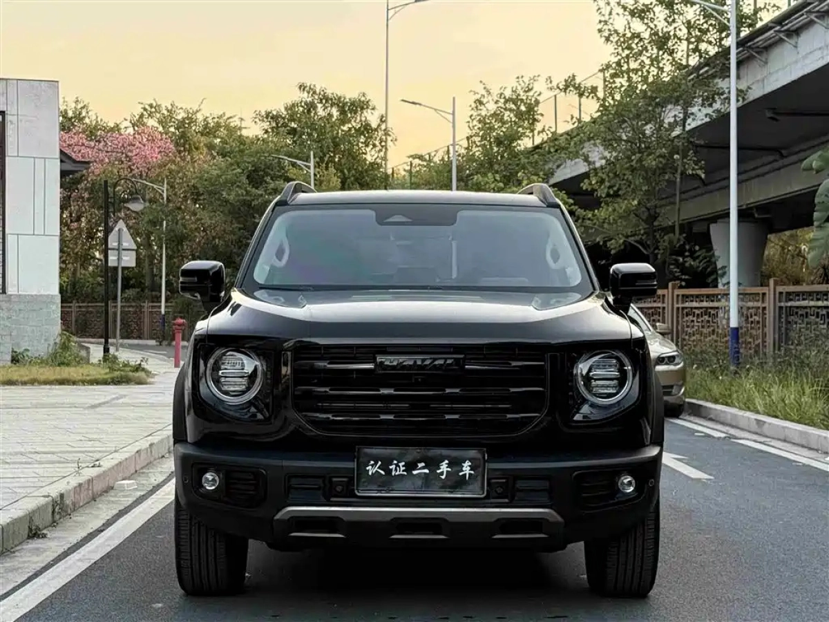 HAVAL BIG DOG