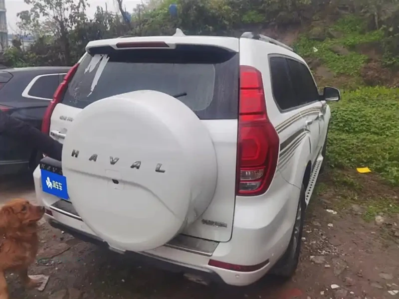 HAVAL H9