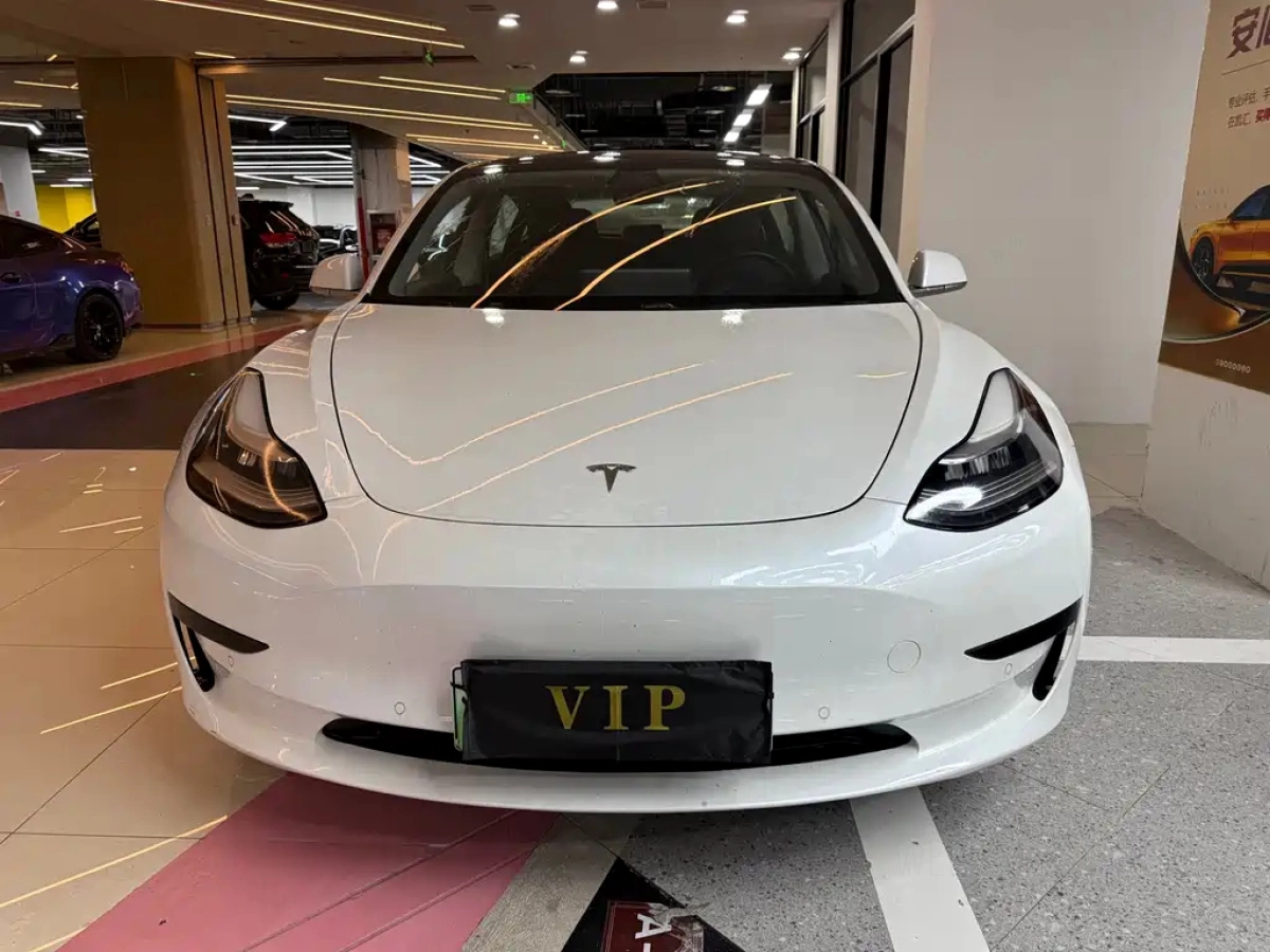 TESLA MODEL 3 IMPORT