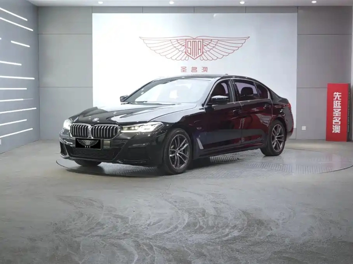 BMW 5-SERIES NEW ENERGY  2022