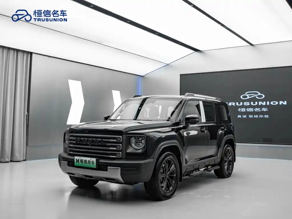 HAVAL RAPTOR NEW ENERGY  2024