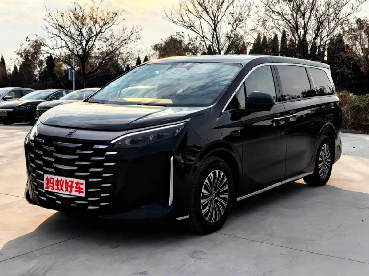 BYD XIA  2025