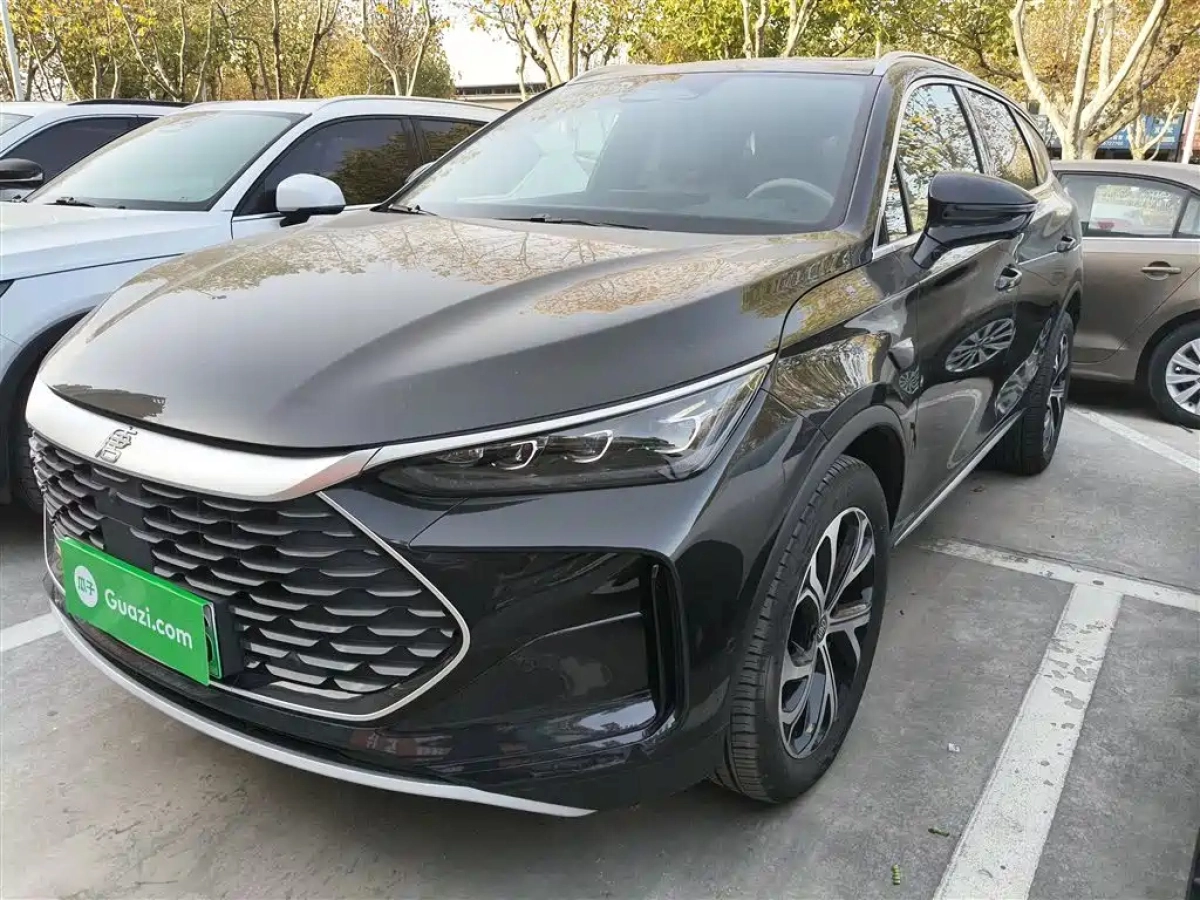 BYD TANG NEW ENERGY  2025