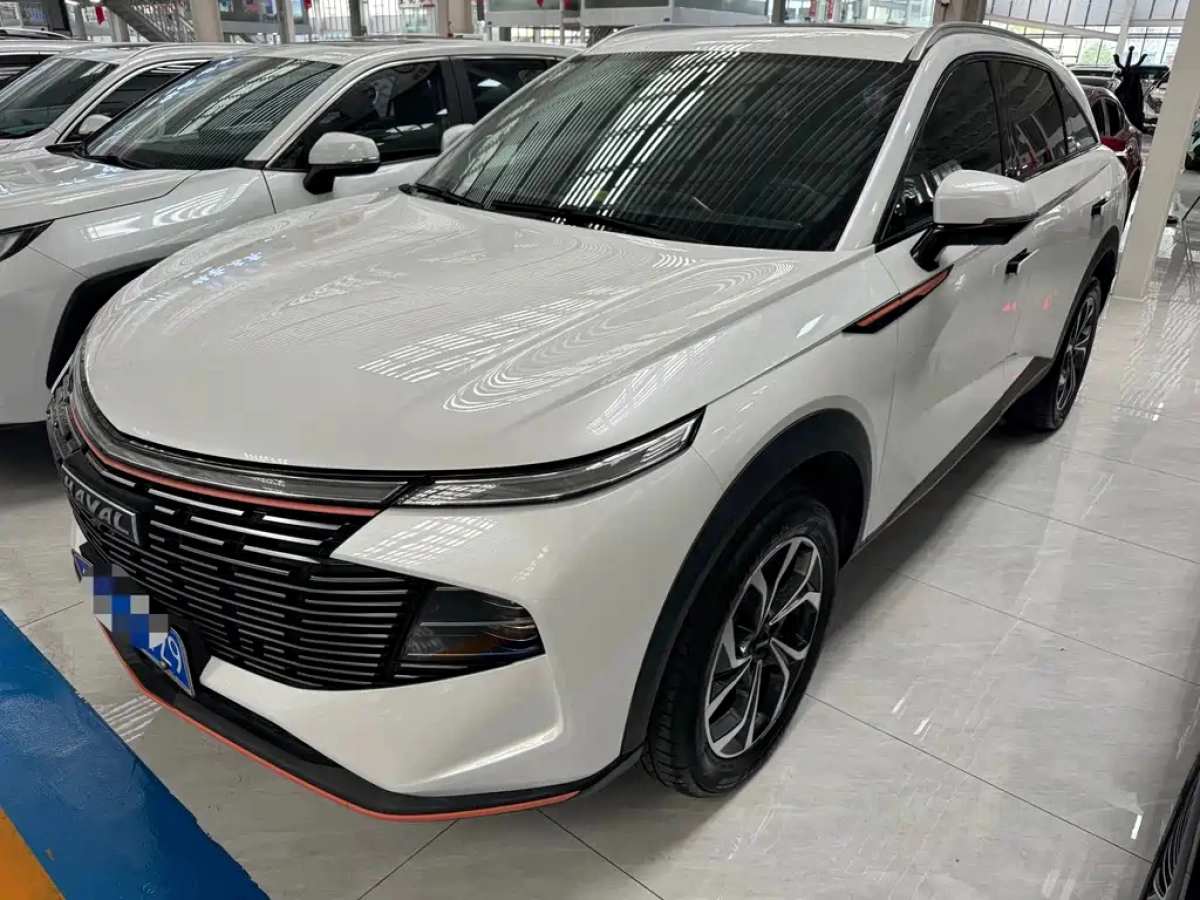 HAVAL SHENSHOU  2022