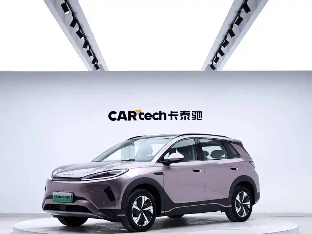 BYD OTHER  2025