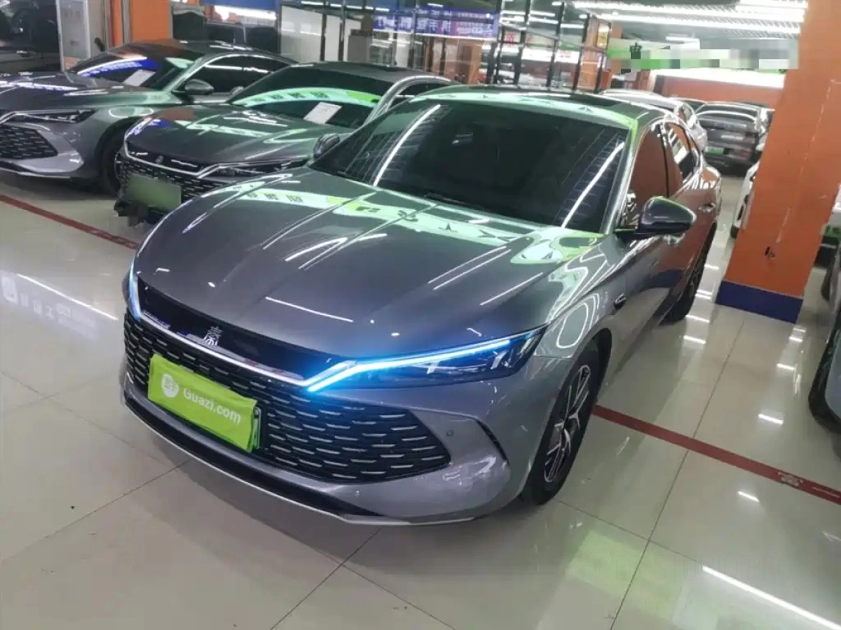 BYD QIN L
