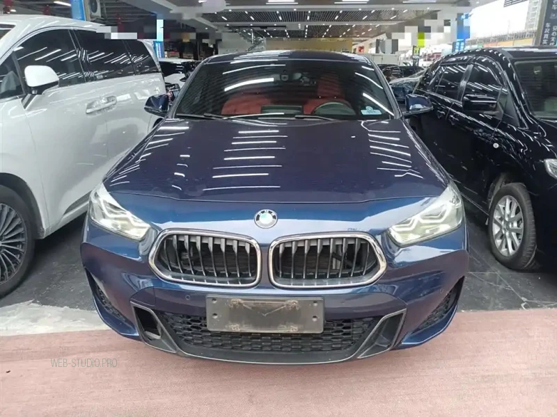 BMW X2