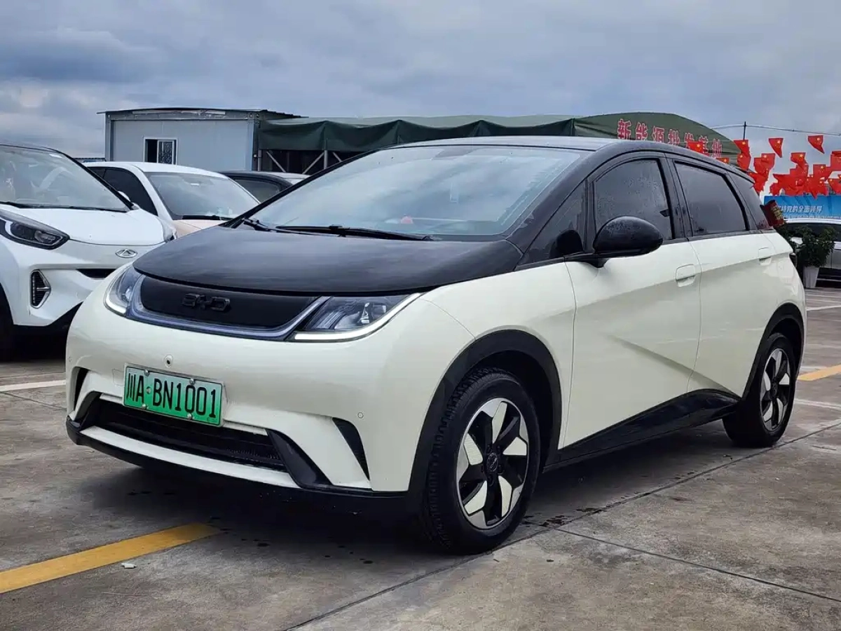 BYD DOLPHIN  2024