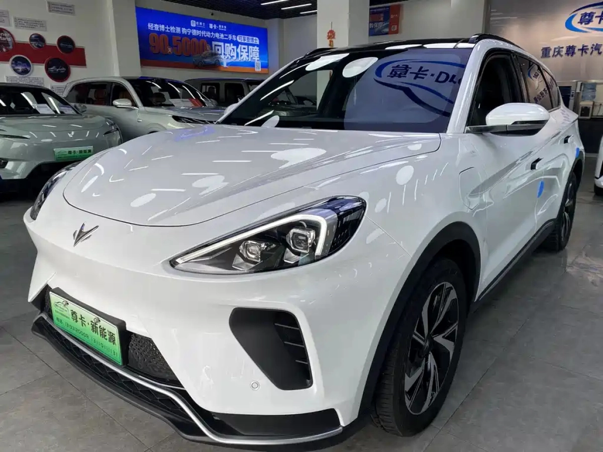 ARCFOX ALPHA T ALPHAT  2024