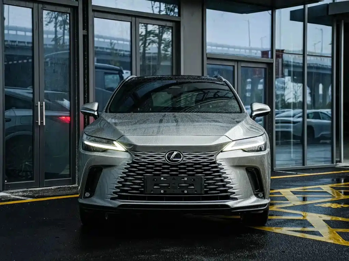 LEXUS RX NEW ENERGY