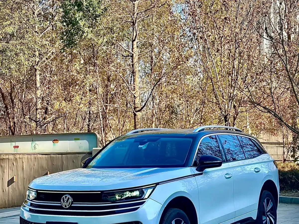 VOLKSWAGEN TAVENDOR  2024