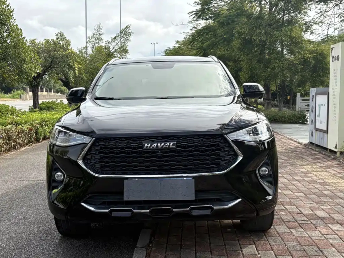 HAVAL F7X