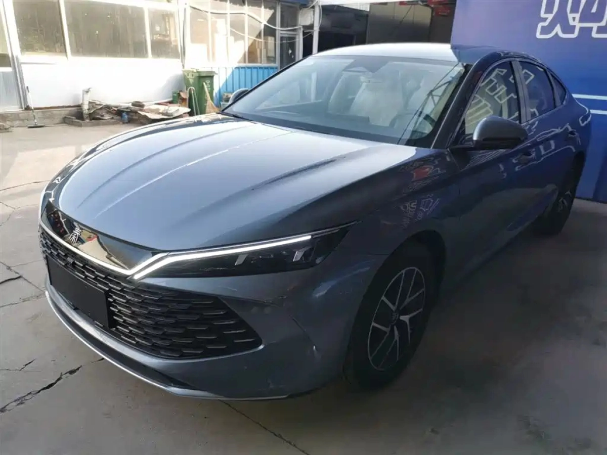 BYD QIN L  2025