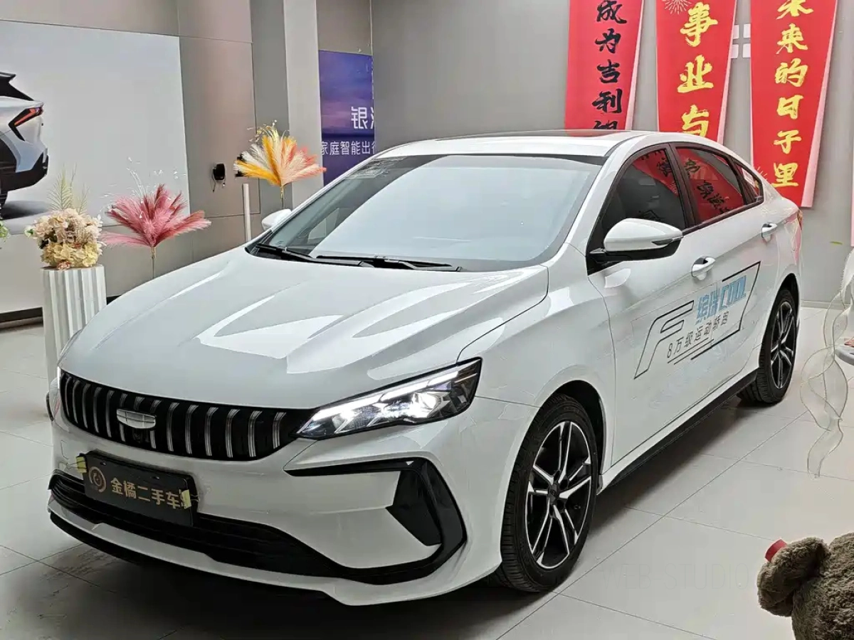 GEELY AUTO BINRUI  2025