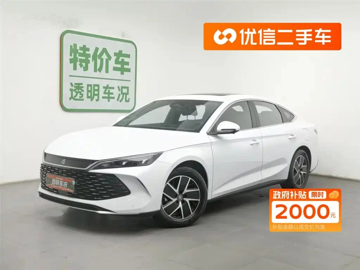 BYD QIN L  2025