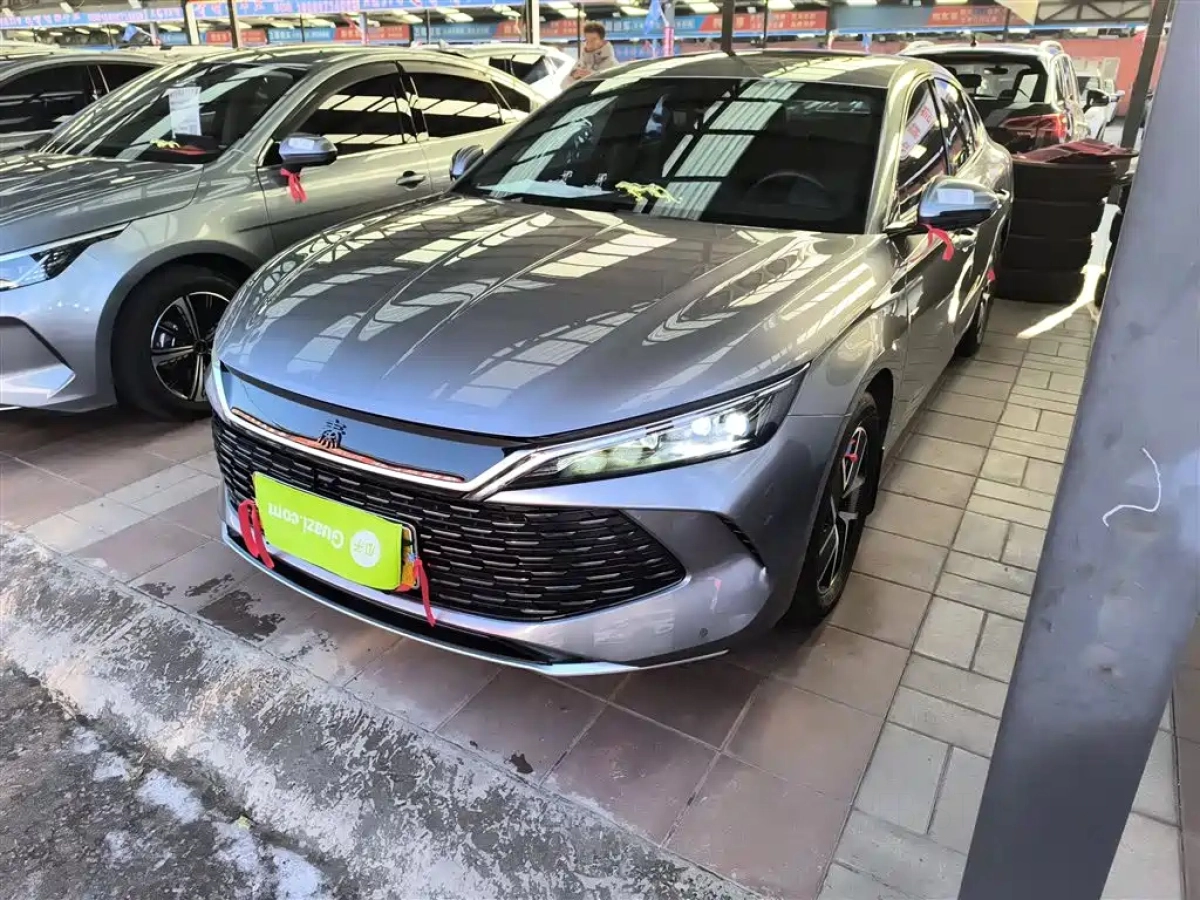 BYD QIN L  2025