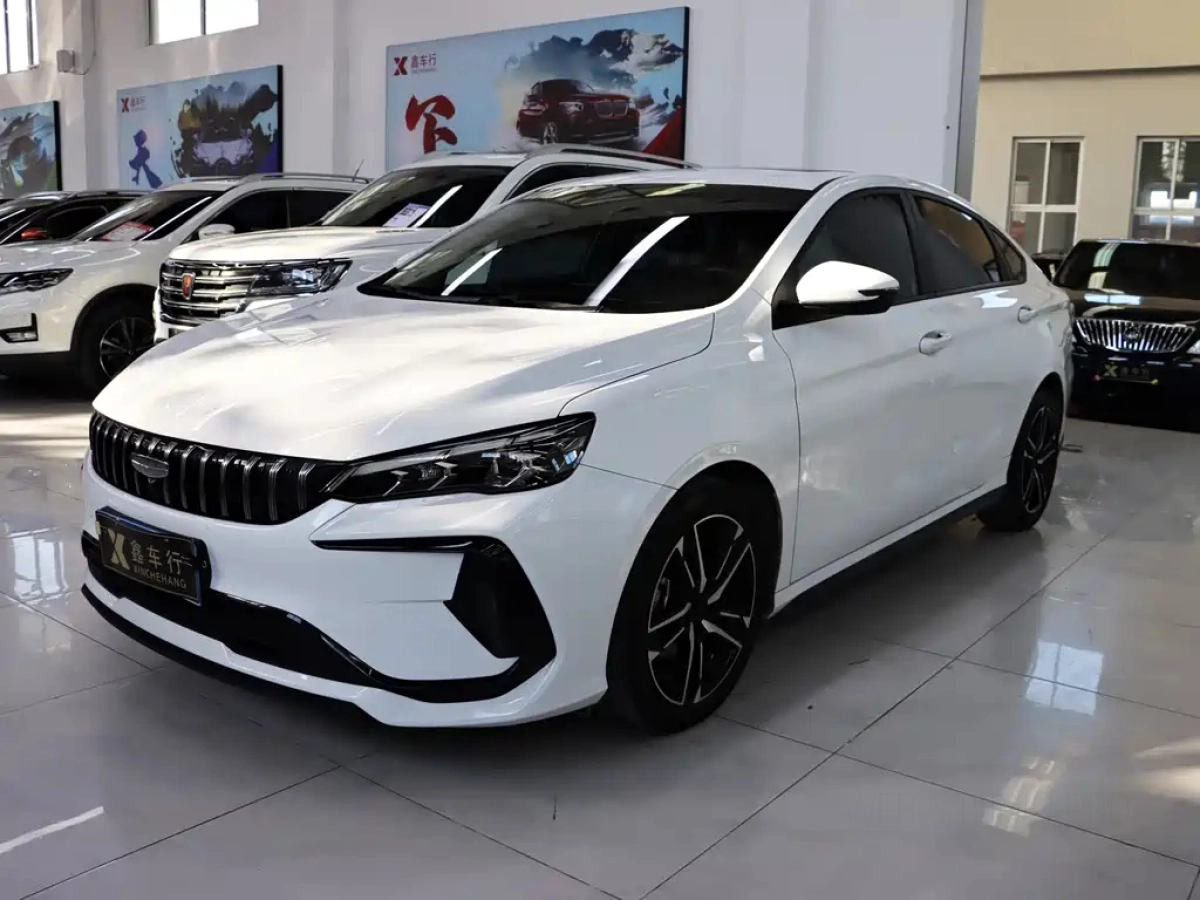 GEELY AUTO BINRUI  2025