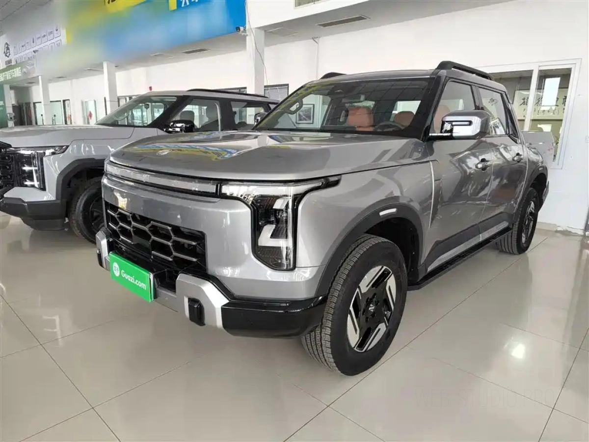 DONGFENG OTHER  2025