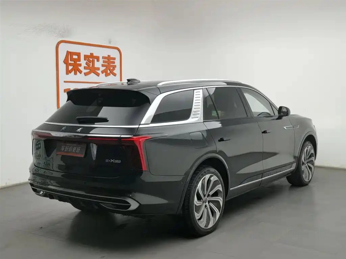 HONGQI E-HS9