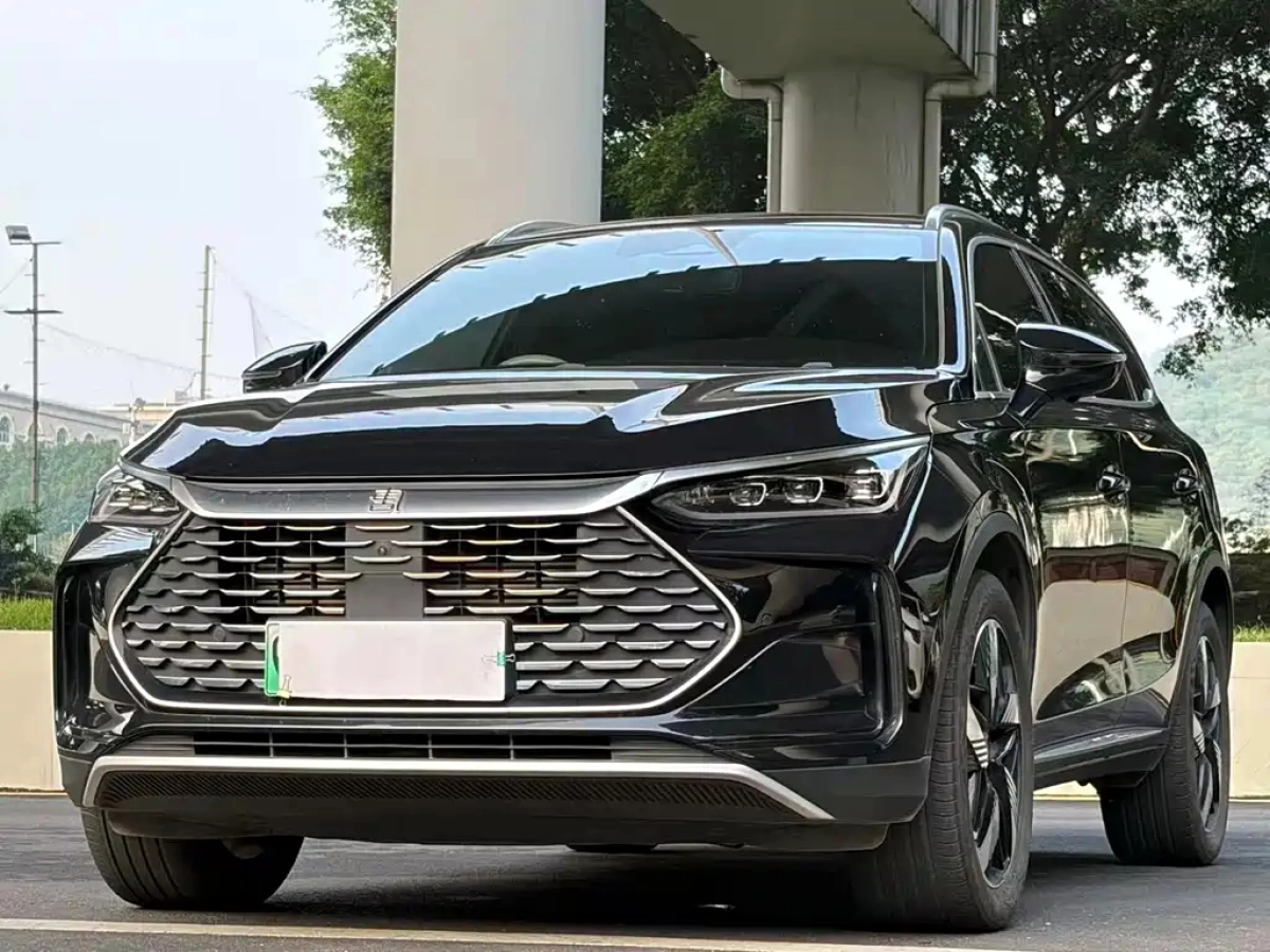 BYD TANG NEW ENERGY  2024