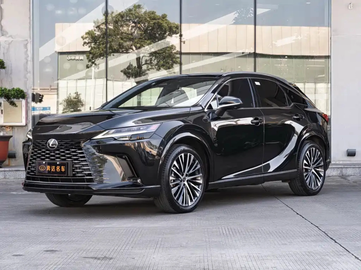 LEXUS RX NEW ENERGY