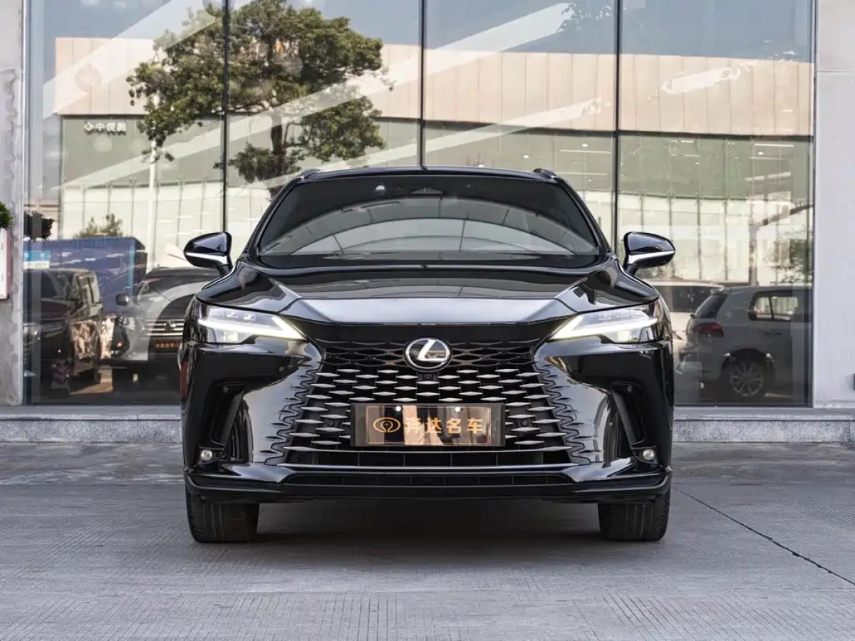 LEXUS RX NEW ENERGY