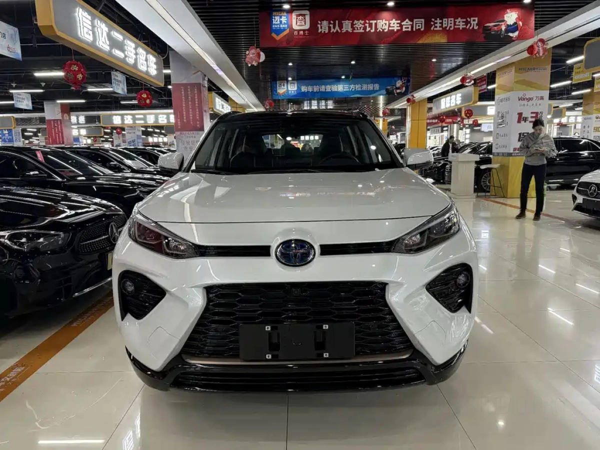 TOYOTA WILDLANDER