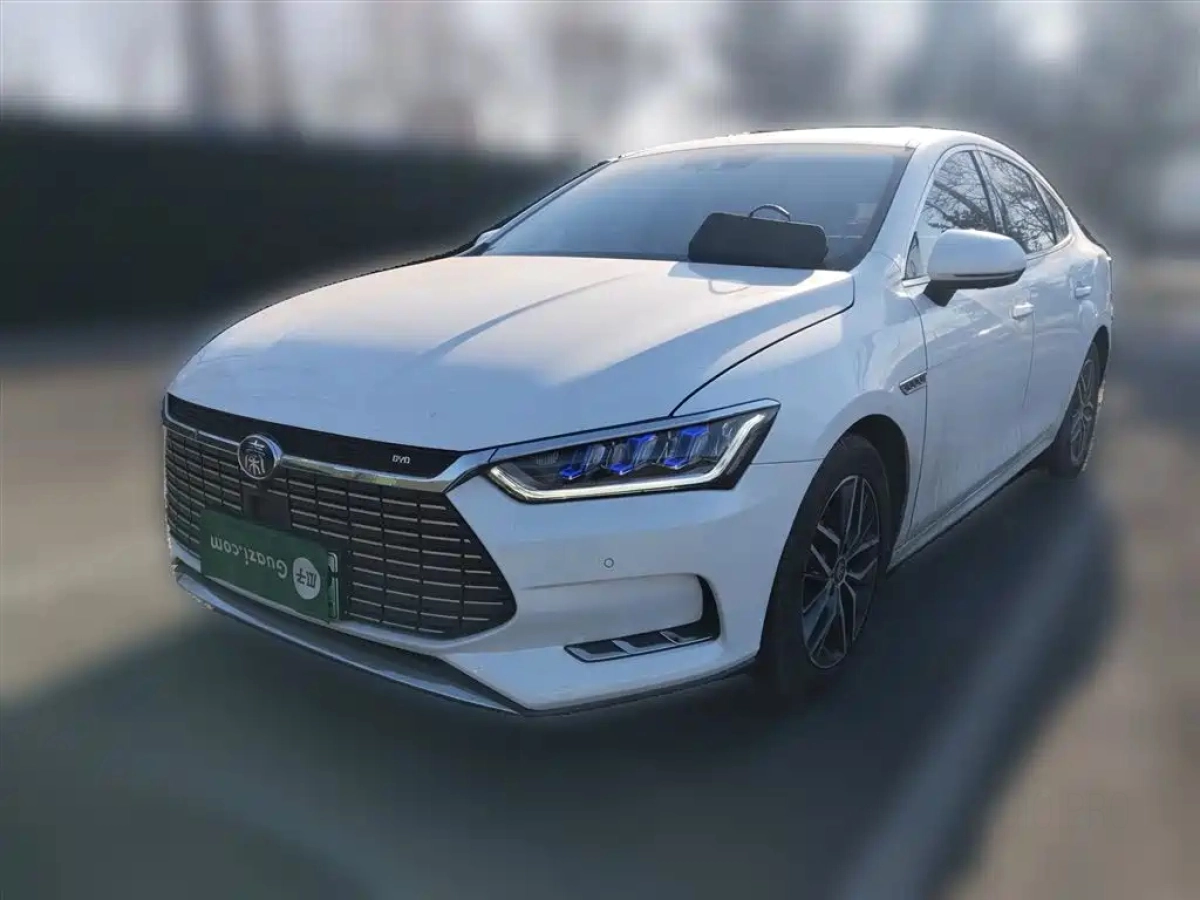 BYD QIN PRO NEW ENERGY  2019