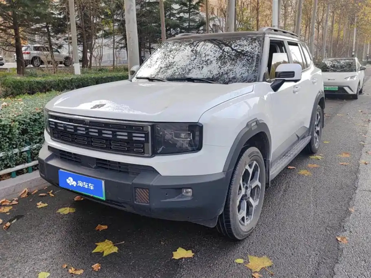 JETOUR SHANHAI T1  2025