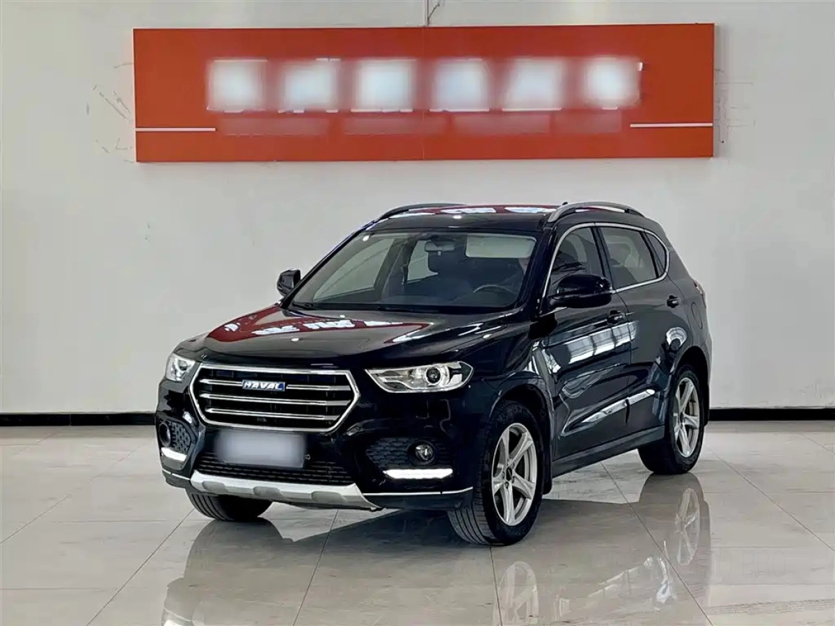 HAVAL H2  2019