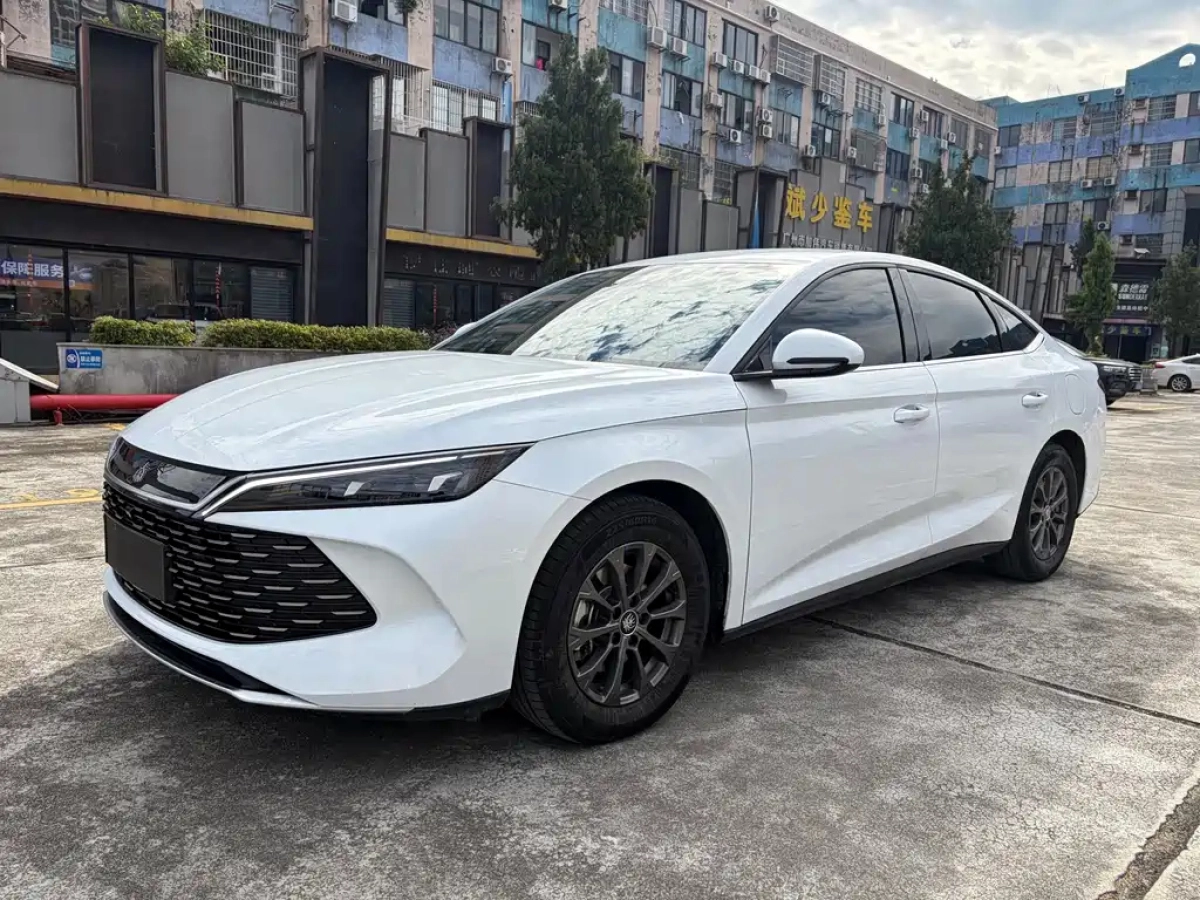 BYD QIN L  2024