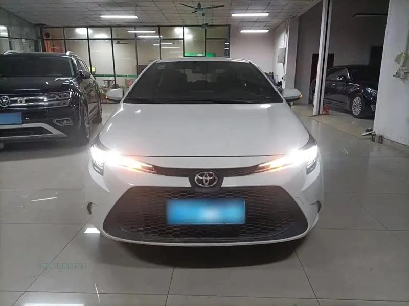 TOYOTA RALINK