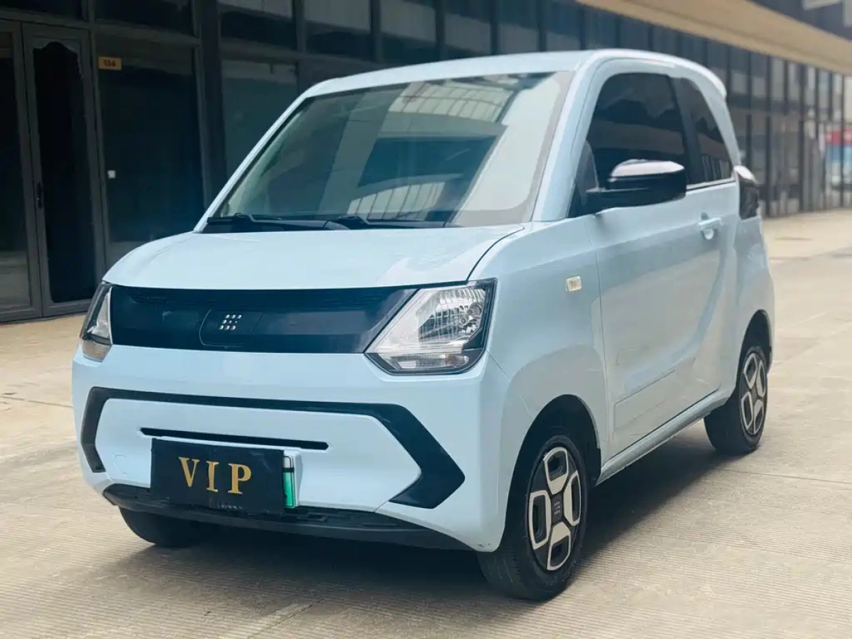 DONGFENG SCENERY MINIEV  2022