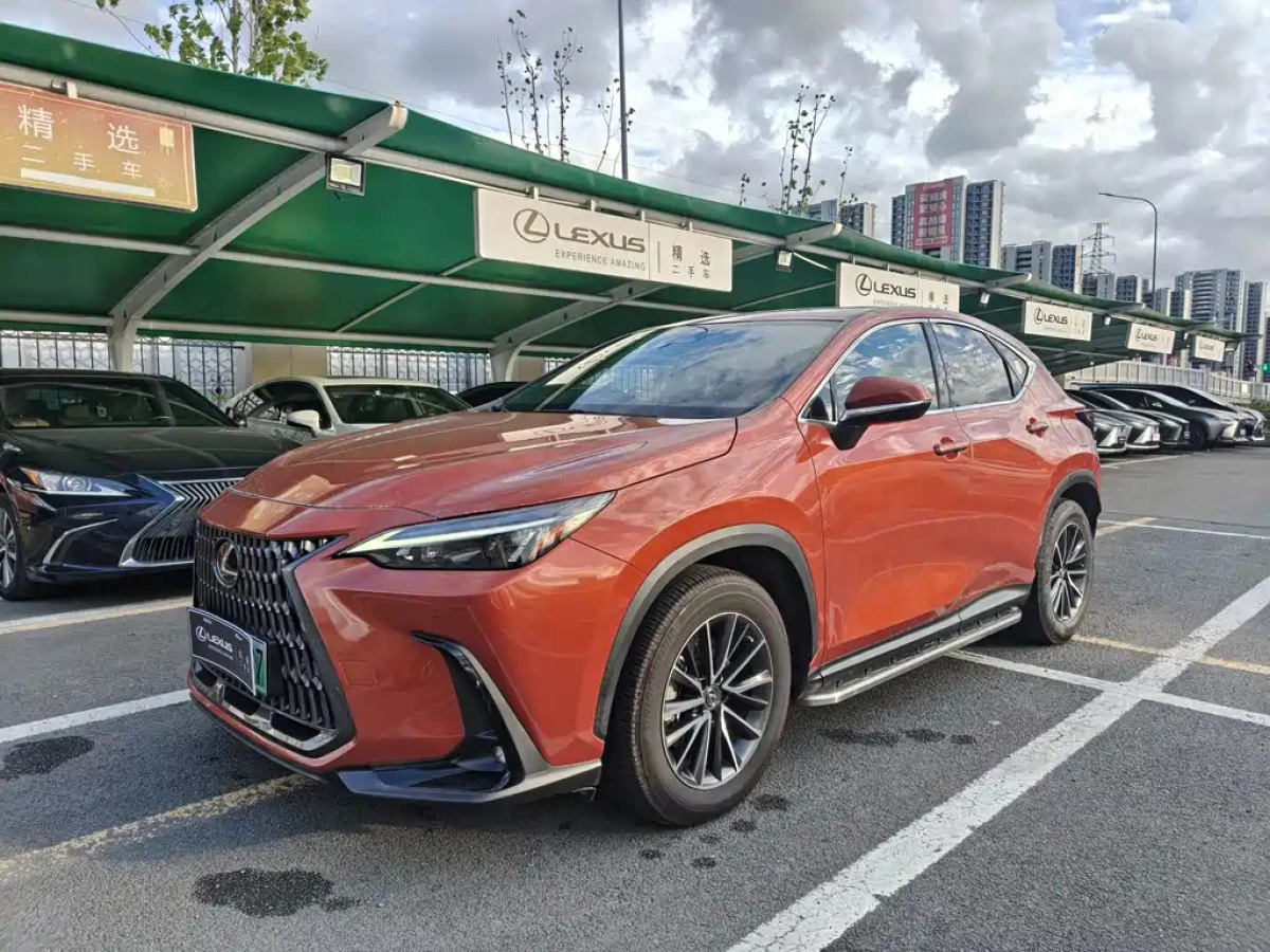 LEXUS NX NEW ENERGY