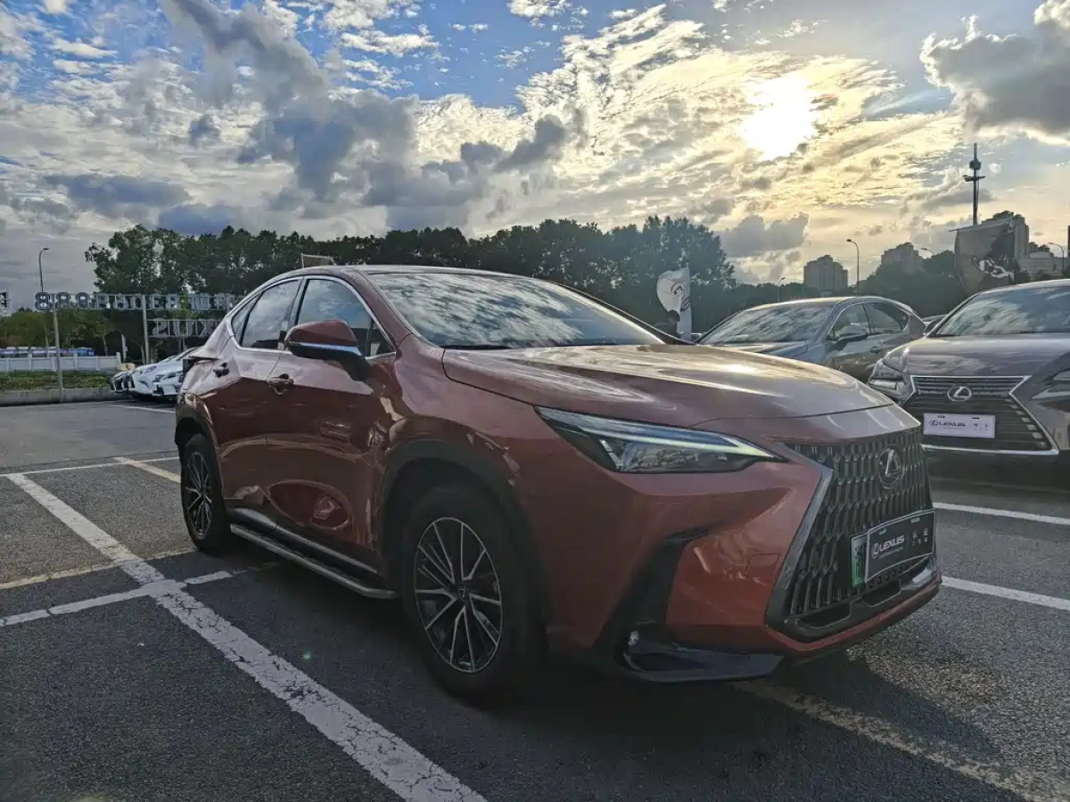 LEXUS NX NEW ENERGY
