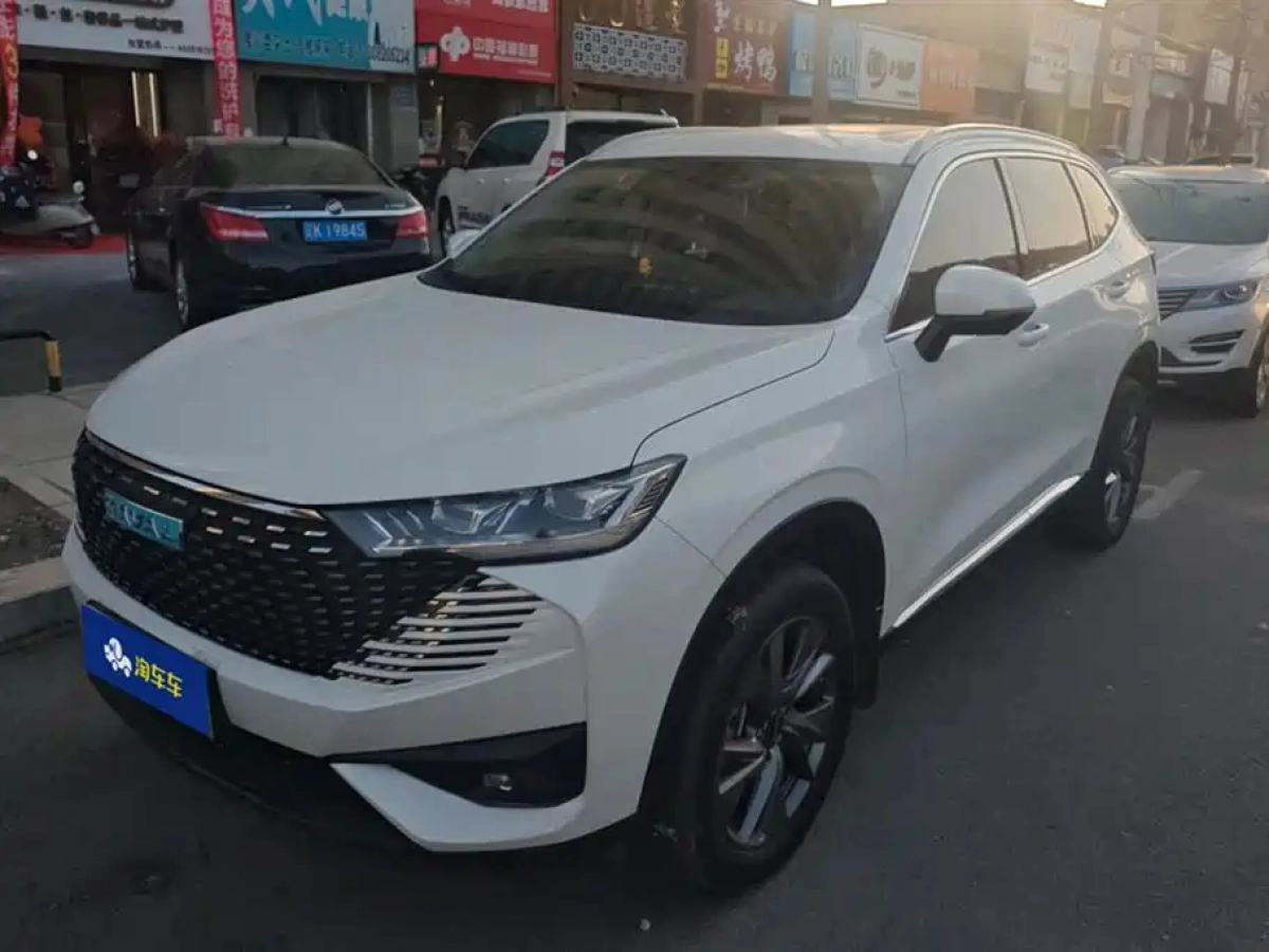 HAVAL H6 NEW ENERGY  2022