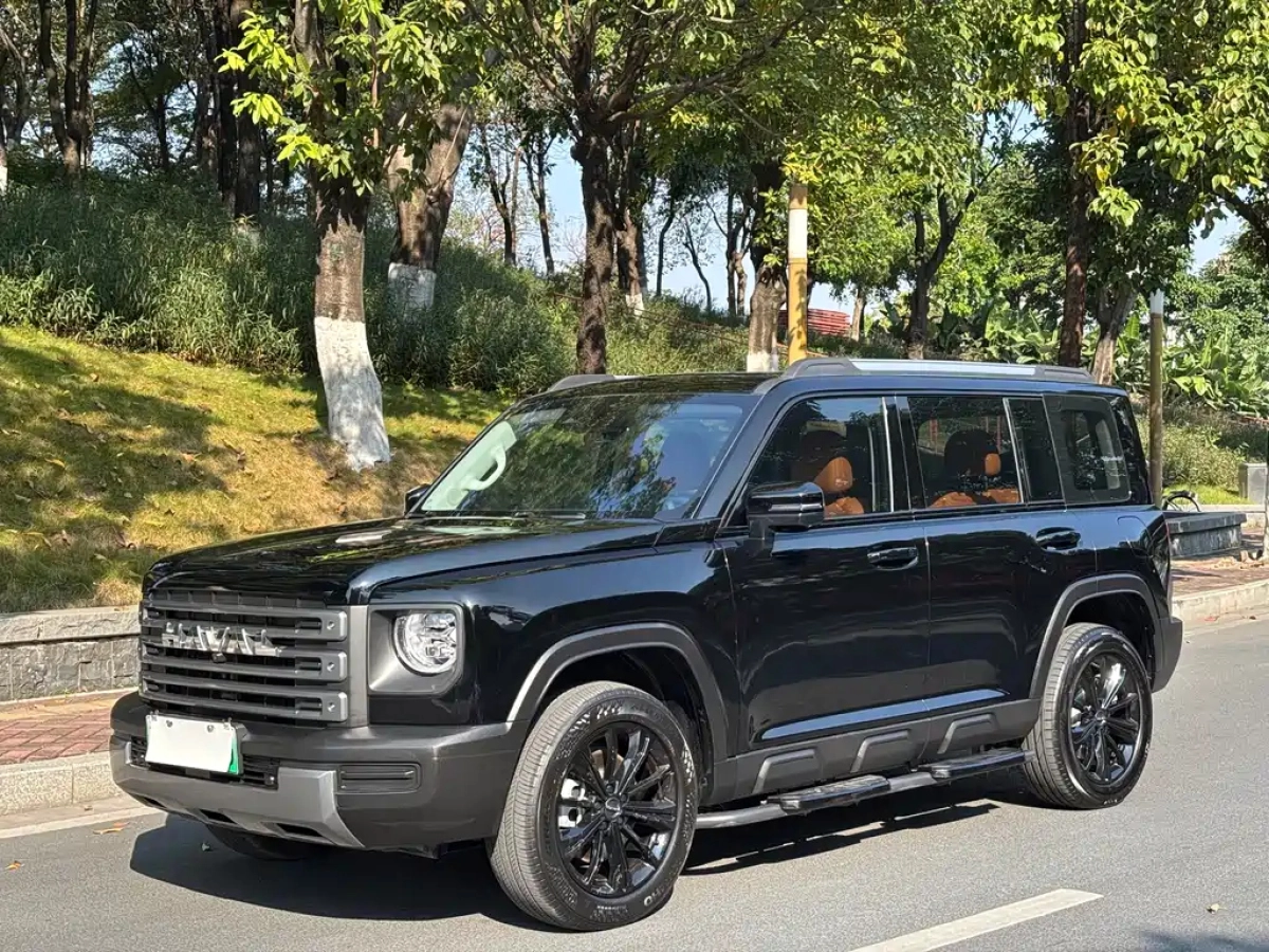 HAVAL RAPTOR NEW ENERGY  2024