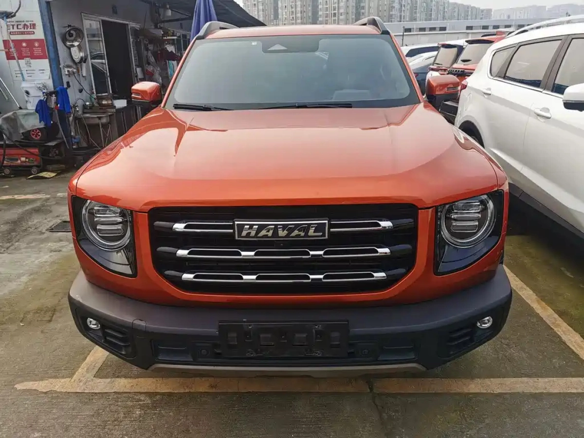 HAVAL BIG DOG