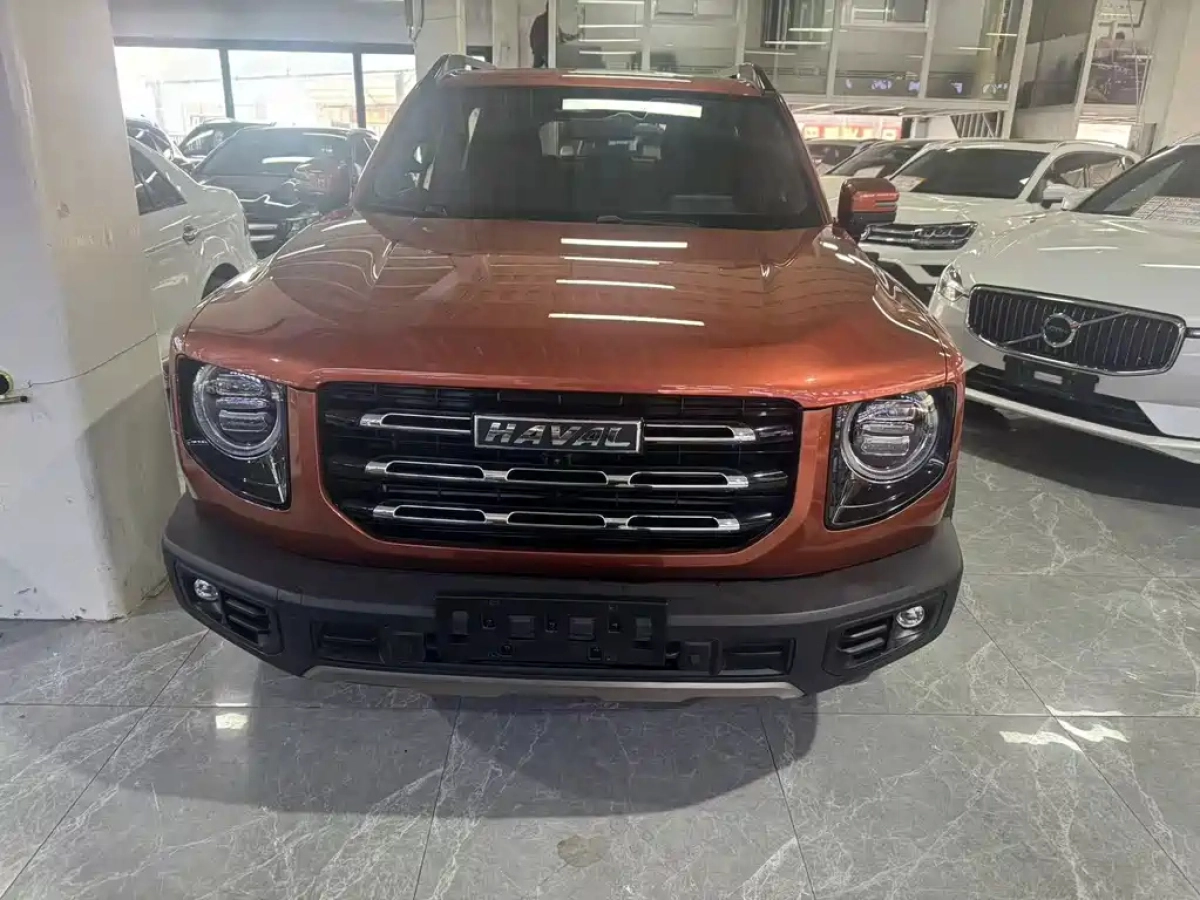 HAVAL BIG DOG