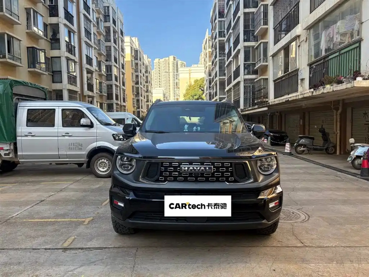 HAVAL BIG DOG II