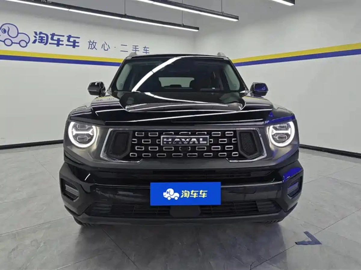 HAVAL BIG DOG II