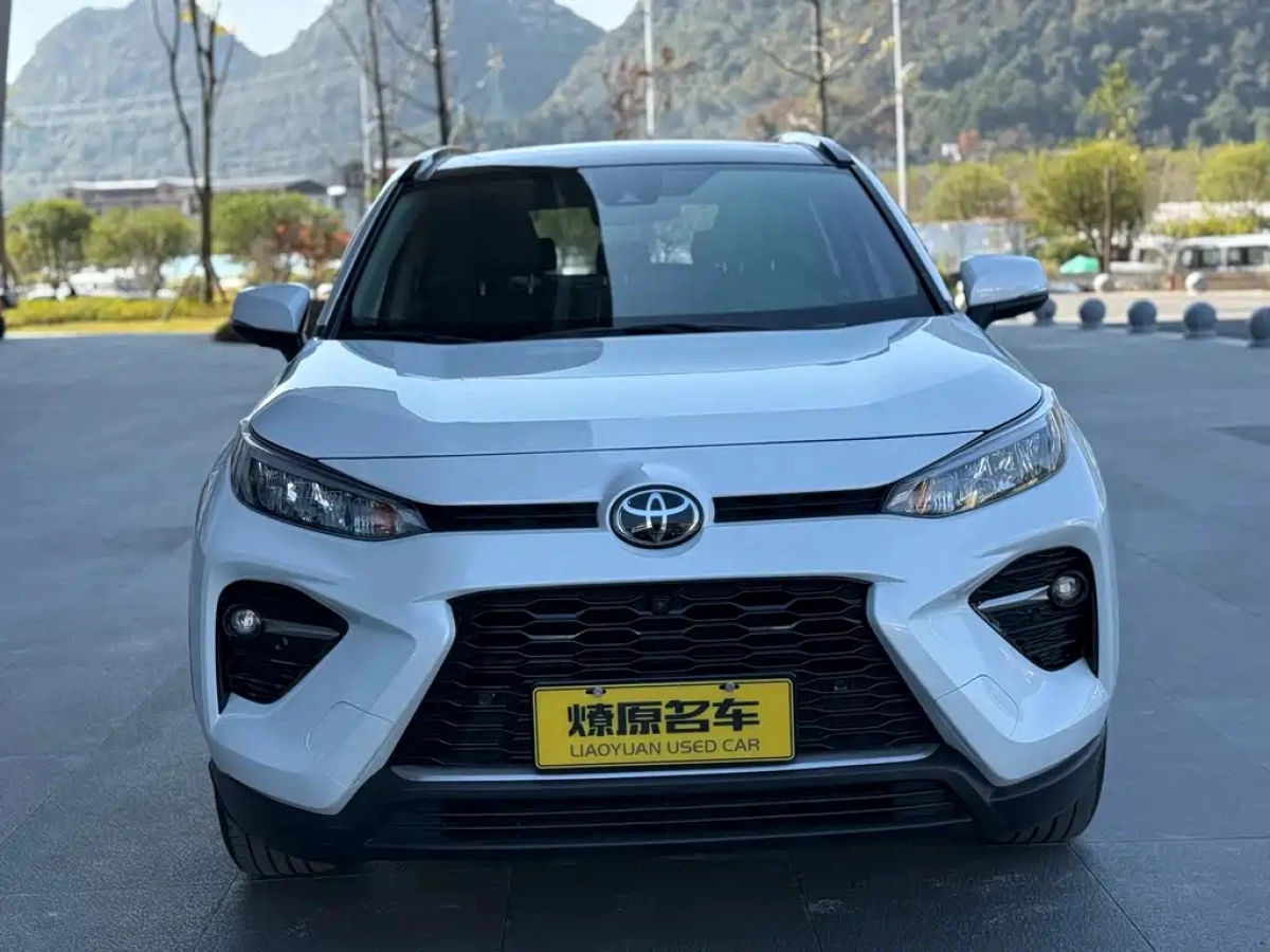 TOYOTA WILDLANDER
