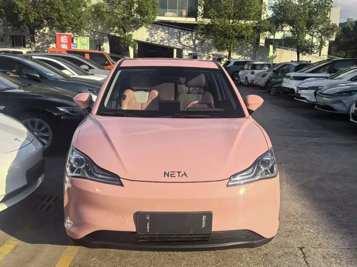 NETA AUTO V