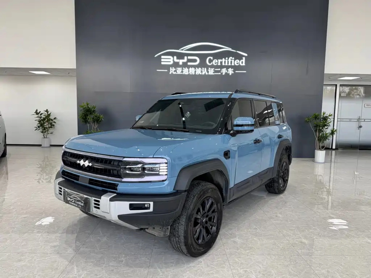 FANGCHENGBAO BAO 5  2025