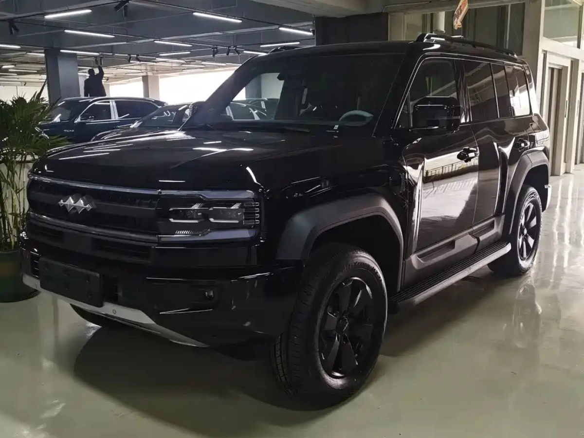 FANGCHENGBAO BAO 5  2025