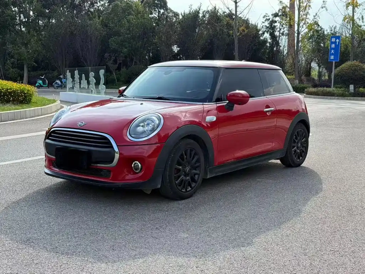 MINI OTHER  2019