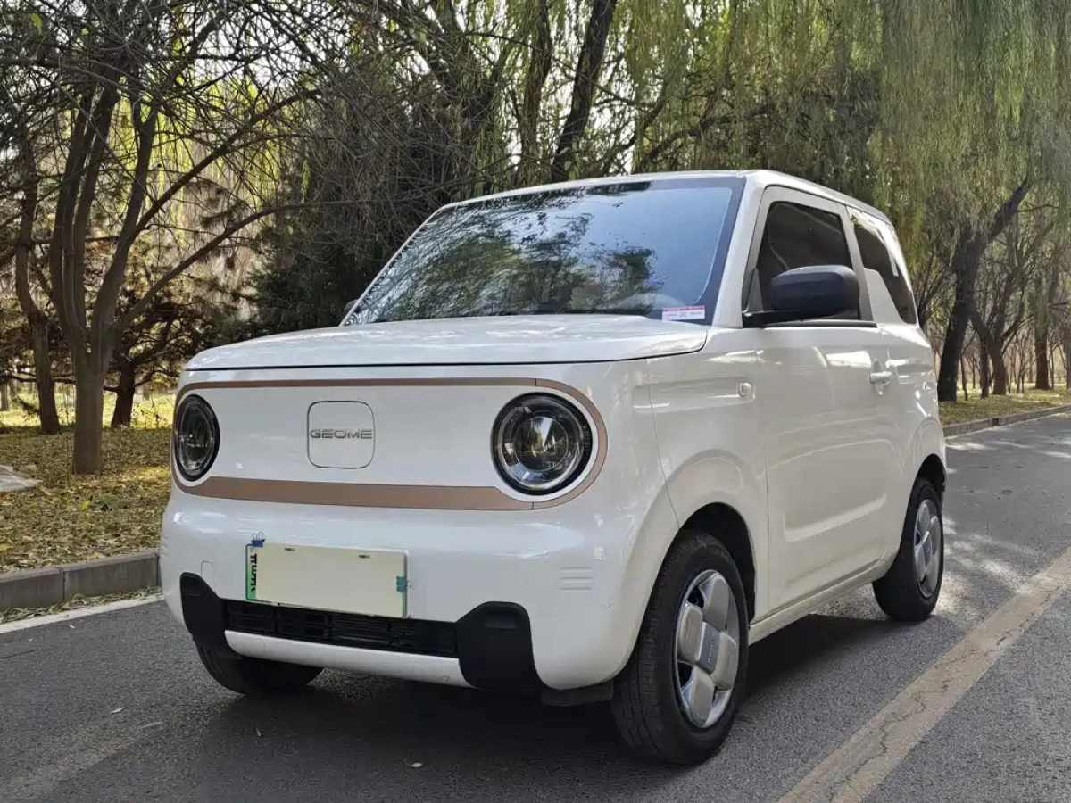GEELY AUTO PANDA