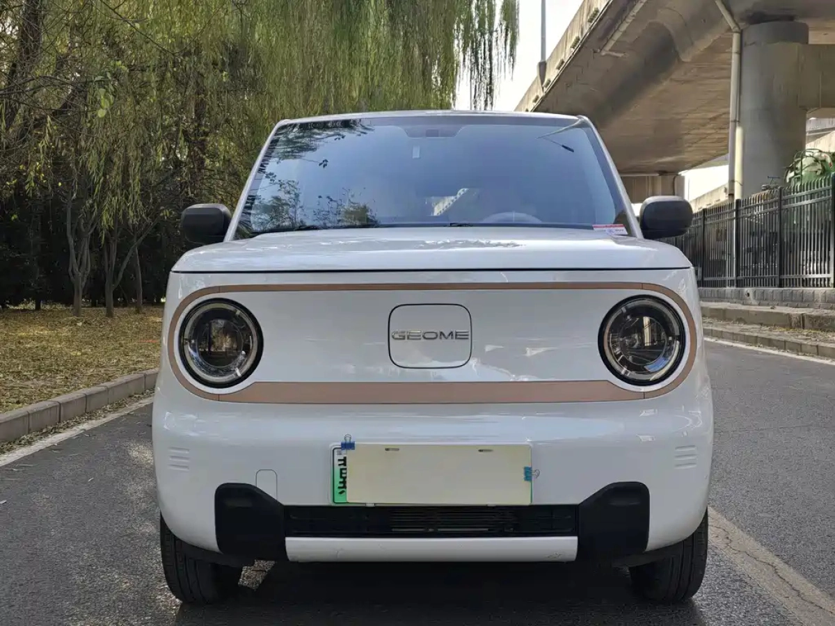 GEELY AUTO PANDA