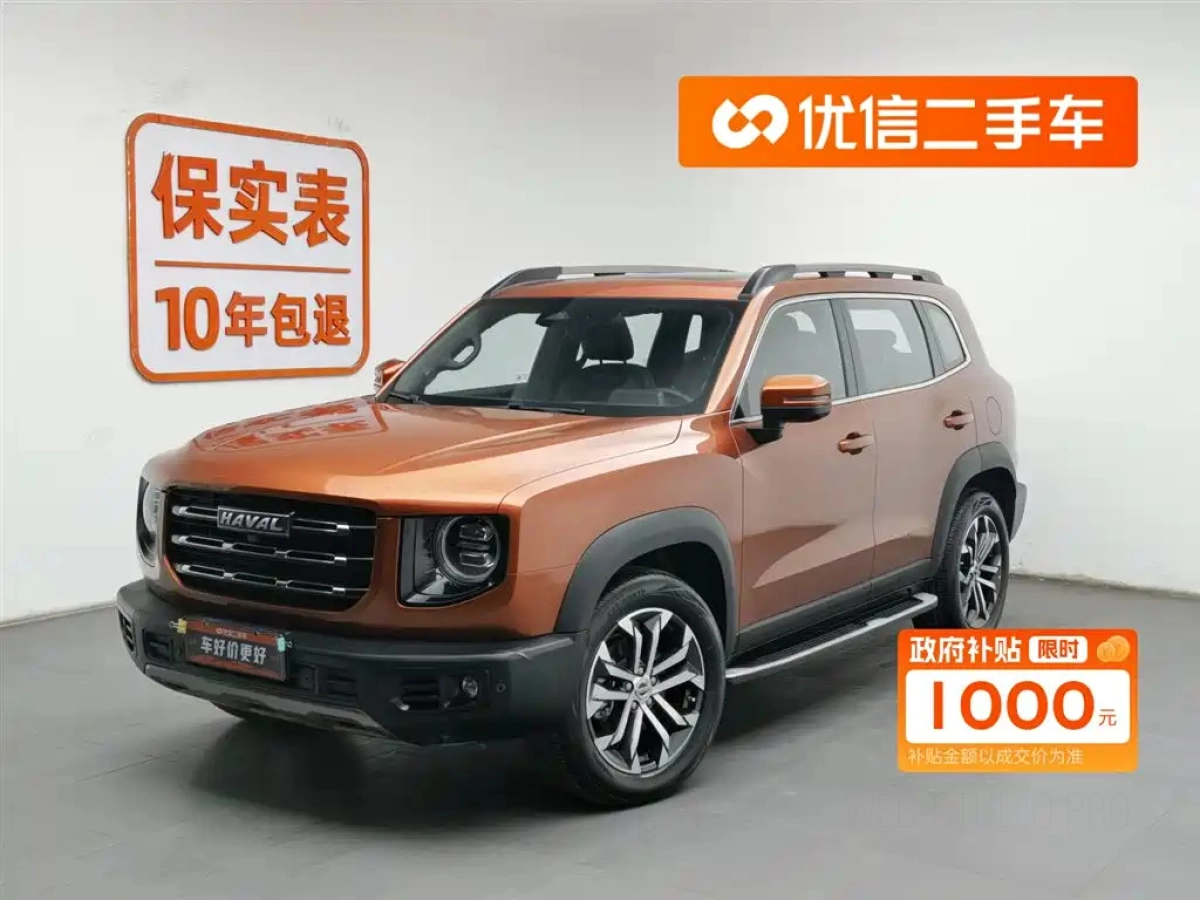 HAVAL BIG DOG  2021